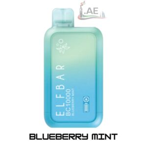 ELF BAR BC10000 Puffs 5mg Disposable Vape in Dubai Blueberry_Mint