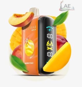 ELFBAR Raya D3 25000 Puffs Disposable Vape in Dubai - Mango Peach