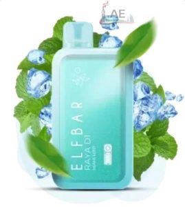 Elfbar-Raya-D1-13000-puffs-Disposable-Vape-Miami-Mint