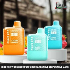 Isgo New York 8000 Puffs Rechargeable Disposable Vape shop In UAE