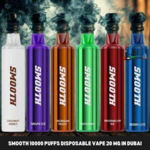 SMOOTH 10000 Puffs Disposable Vape 20 MG in Dubai