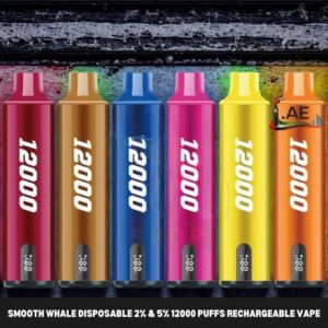 SMOOTH Whale Disposable 2% & 5% 12000 Puffs Rechargeable Vape in Dubai, UAE