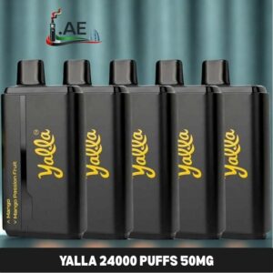 YALLA 24000 Puffs 50MG disposable vape in Dubai