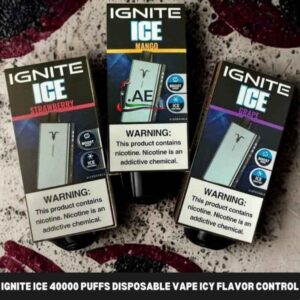 Ignite Ice 40000 Puffs Disposable Vape Icy Flavor Control In UAE