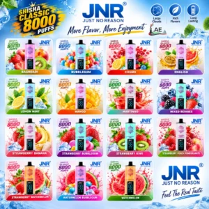 JNR-Shisha-Classic-8000-puffs-Disposable-Vape